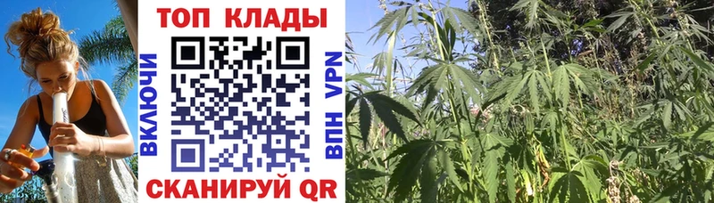 Купить наркотик аптеки Семилуки МАРИХУАНА СОЛЬ Псилоцибиновые грибы Кокаин МЕФ