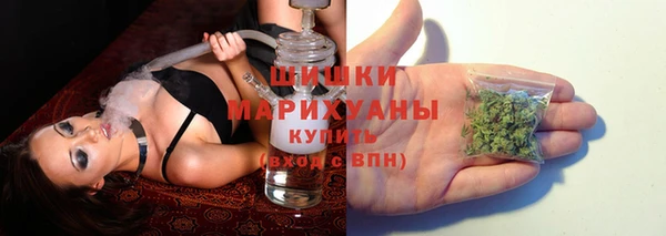 стаф Баксан