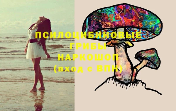стаф Баксан